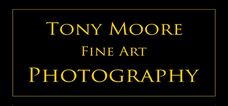 Business Profile: Tony Moore Fine Art Photography