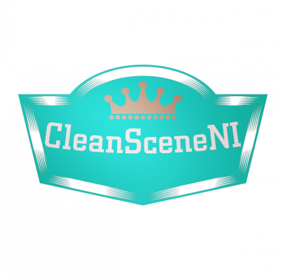 Business Profile: CleanScene NI