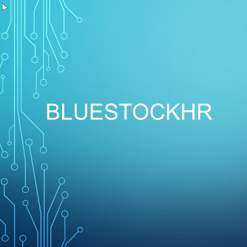 Business Profile: Blue Stock HR